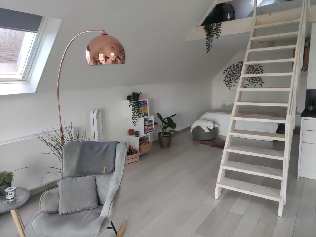 *** Biezoe *** Brakel Exterior foto