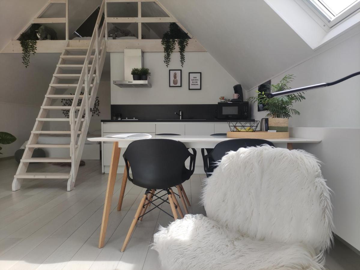 *** Biezoe *** Brakel Exterior foto