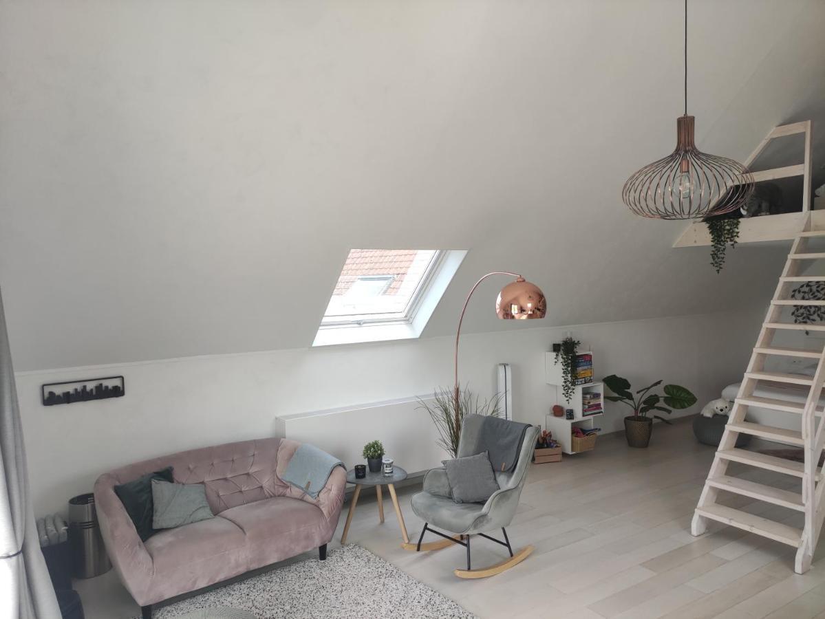 *** Biezoe *** Brakel Exterior foto